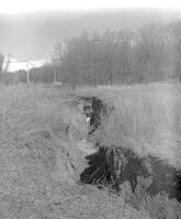 Student, Mankato State College, 1969-05-06.