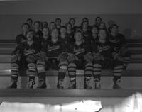 Hockey Team, Mankato State College, 1971.