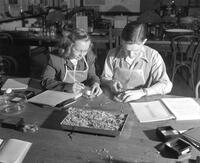 Dissection, Students, Mankato State College, 1965.